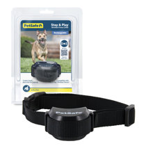 Innotek dog fence outlet collar